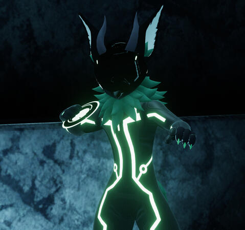 Disk Pose